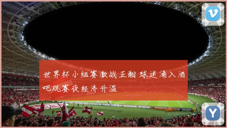 世界杯小组赛激战正酣 球迷涌入酒吧观赛夜经济升温