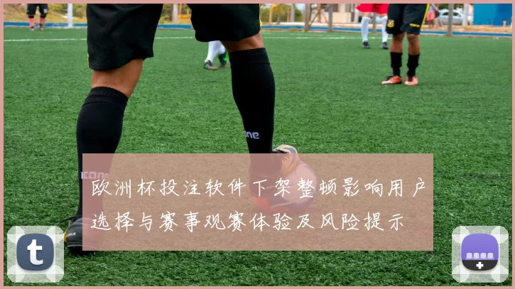 欧洲杯投注软件下架整顿影响用户选择与赛事观赛体验及风险提示
